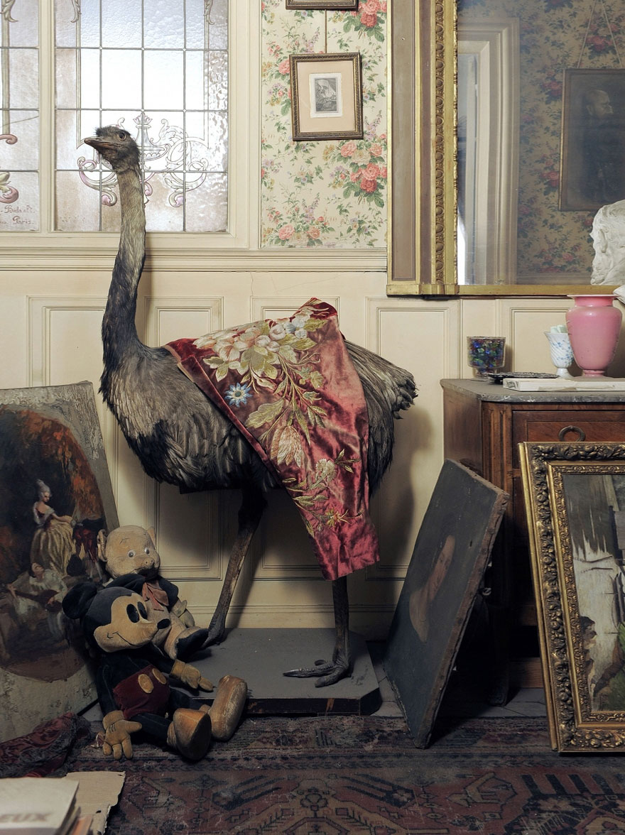 70-years-isolated-apartment-paris-marthe-de-florian-3 70-years-isolated-apartment-paris-marthe-de-florian-3