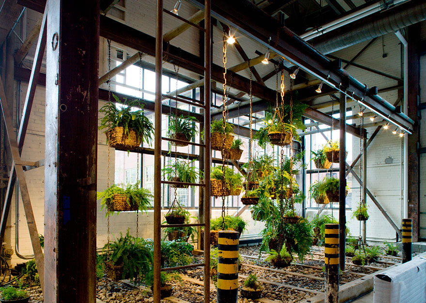 amazing-creative-workspaces-office-spaces-9-5 amazing-creative-workspaces-office-spaces-9-5