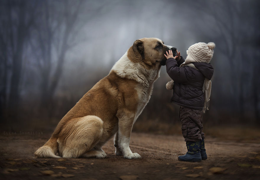 Child in winter clothes gently touching a large dog's face on a foggy farm, illustrating a magical moment with animals. Child in winter clothes gently touching a large dog's face on a foggy farm, illustrating a magical moment with animals.