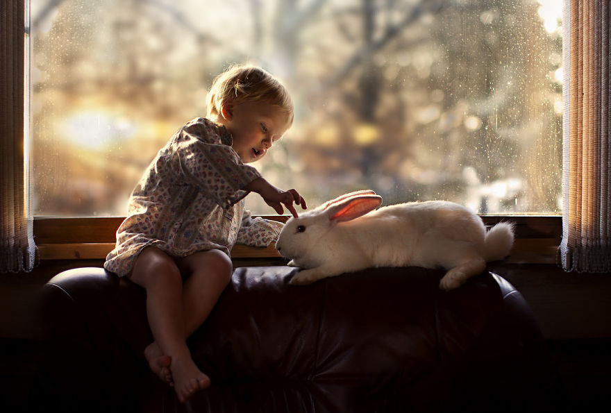 Child interacting with a rabbit on a farm, captured in a magical setting with a warm glow. Child interacting with a rabbit on a farm, captured in a magical setting with a warm glow.
