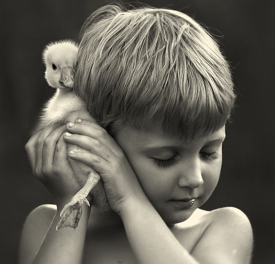 Child gently holding a duckling on a Russian farm. Child gently holding a duckling on a Russian farm.