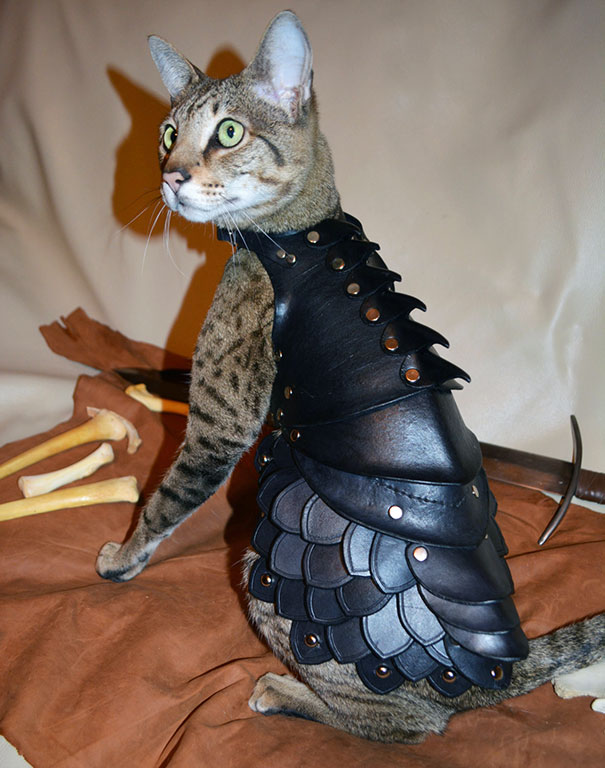 black-leather-cat-armor-schnabuble-1 black-leather-cat-armor-schnabuble-1