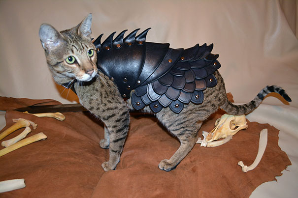 black-leather-cat-armor-schnabuble-3 black-leather-cat-armor-schnabuble-3