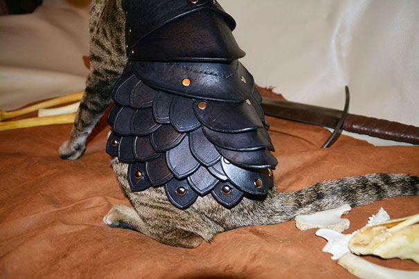 black-leather-cat-armor-schnabuble-5 black-leather-cat-armor-schnabuble-5