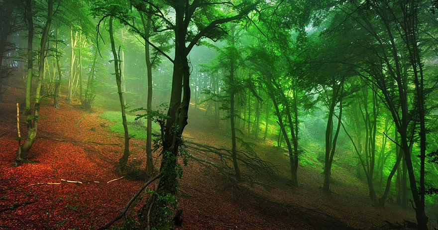 brothers-grimms-homeland-haunting-photography-kilian-schoenberger-4 brothers-grimms-homeland-haunting-photography-kilian-schoenberger-4