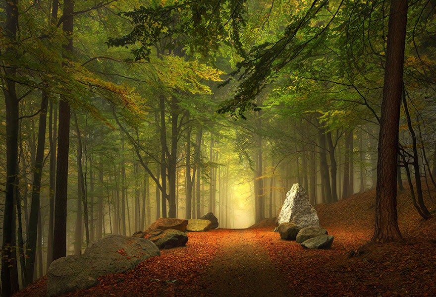 brothers-grimms-homeland-haunting-photography-kilian-schoenberger-6 brothers-grimms-homeland-haunting-photography-kilian-schoenberger-6