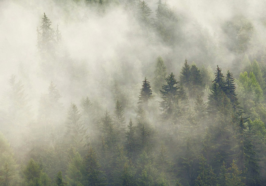 brothers-grimms-homeland-haunting-photography-kilian-schoenberger-7 brothers-grimms-homeland-haunting-photography-kilian-schoenberger-7