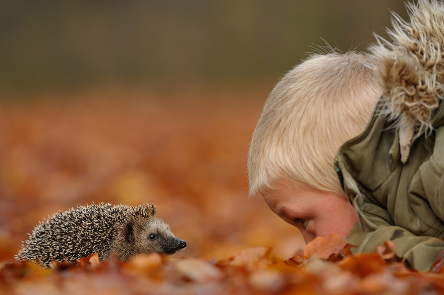 cute-animal-photography-edwin-kats-2 cute-animal-photography-edwin-kats-2