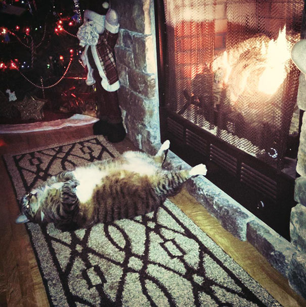 Sleeping cat by the fireplace, cozy on a decorative rug, with Christmas decor nearby. Sleeping cat by the fireplace, cozy on a decorative rug, with Christmas decor nearby.