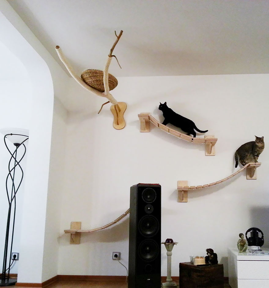 overhead-cat-playground-room-goldtatze-6