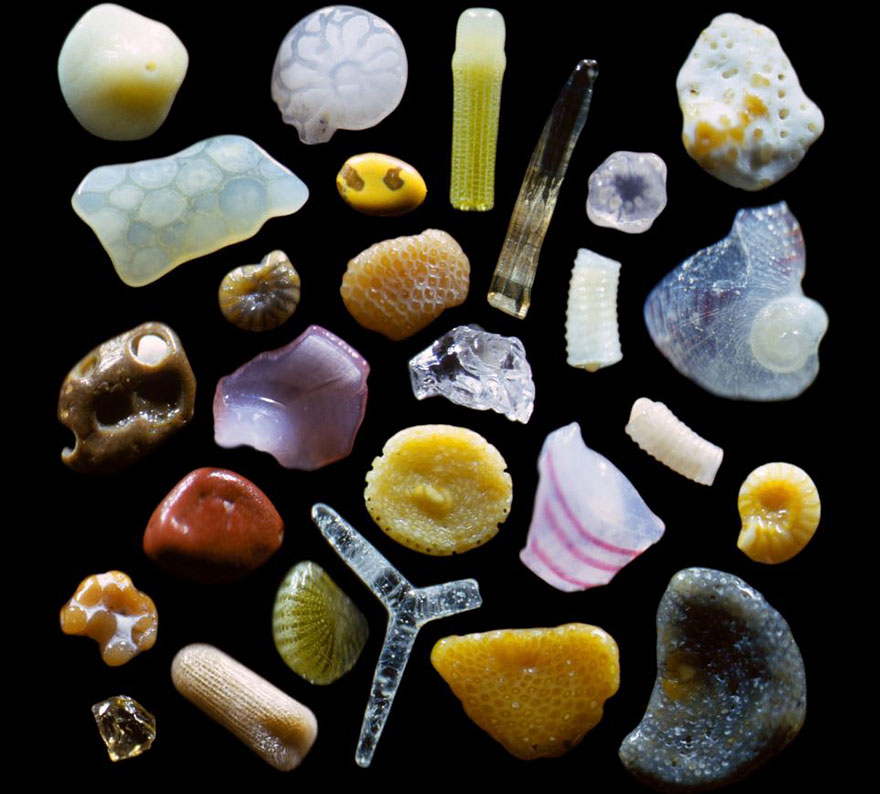 sand-grains-under-microscope-gary-greenberg-1 sand-grains-under-microscope-gary-greenberg-1