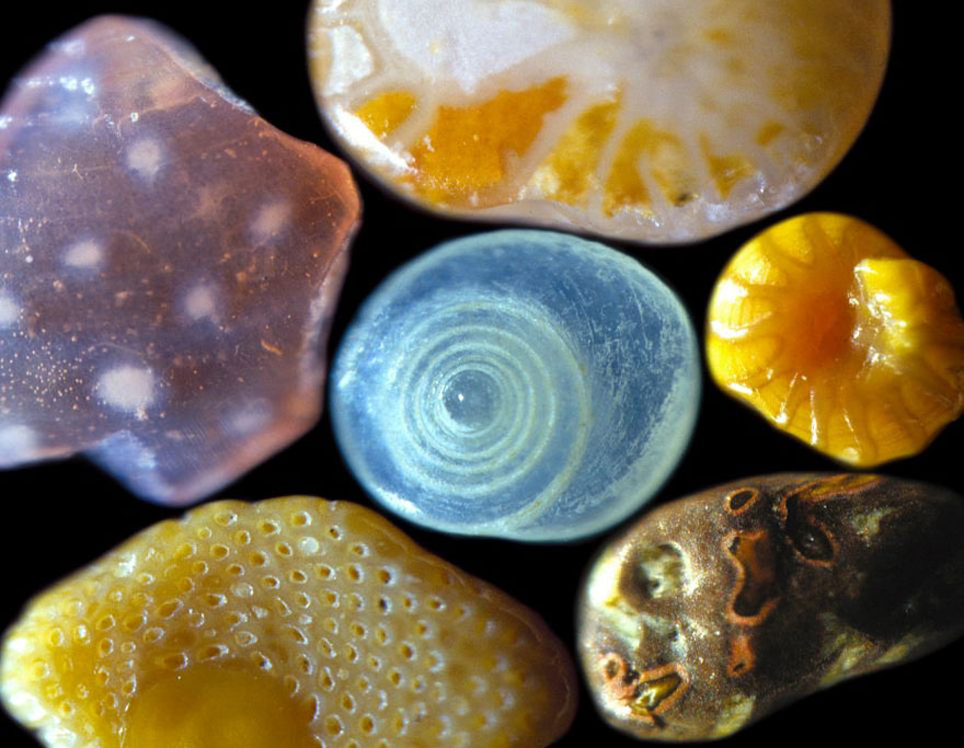 sand-grains-under-microscope-gary-greenberg-2 sand-grains-under-microscope-gary-greenberg-2