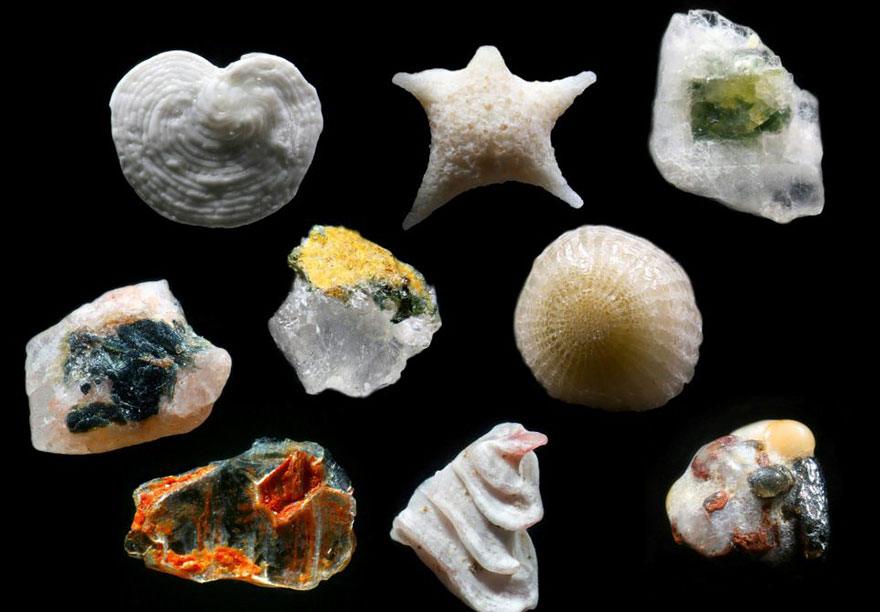 sand-grains-under-microscope-gary-greenberg-3 sand-grains-under-microscope-gary-greenberg-3