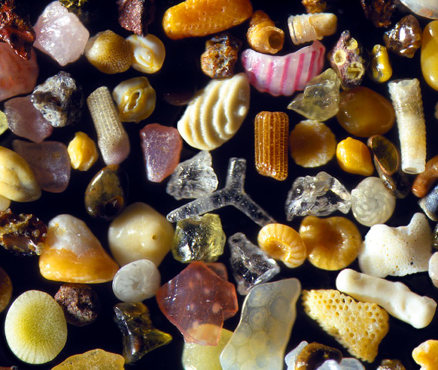 sand-grains-under-microscope-gary-greenberg-4 sand-grains-under-microscope-gary-greenberg-4