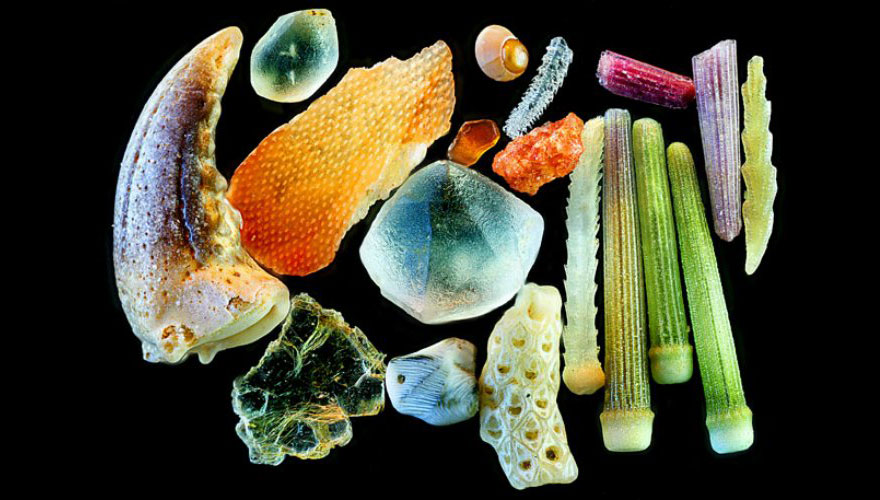 sand-grains-under-microscope-gary-greenberg-6 sand-grains-under-microscope-gary-greenberg-6