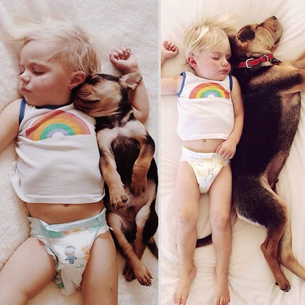 toddler-naps-with-puppy-theo-and-beau-2-1 toddler-naps-with-puppy-theo-and-beau-2-1