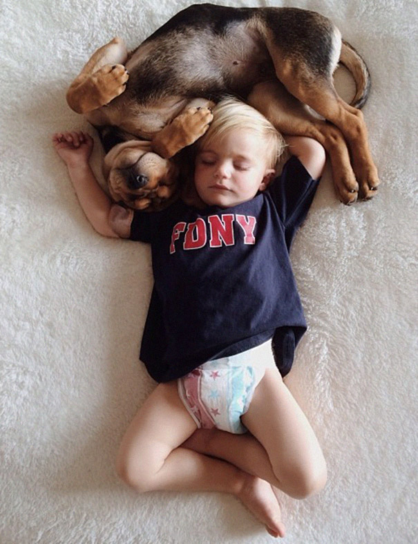 toddler-naps-with-puppy-theo-and-beau-2-10 toddler-naps-with-puppy-theo-and-beau-2-10