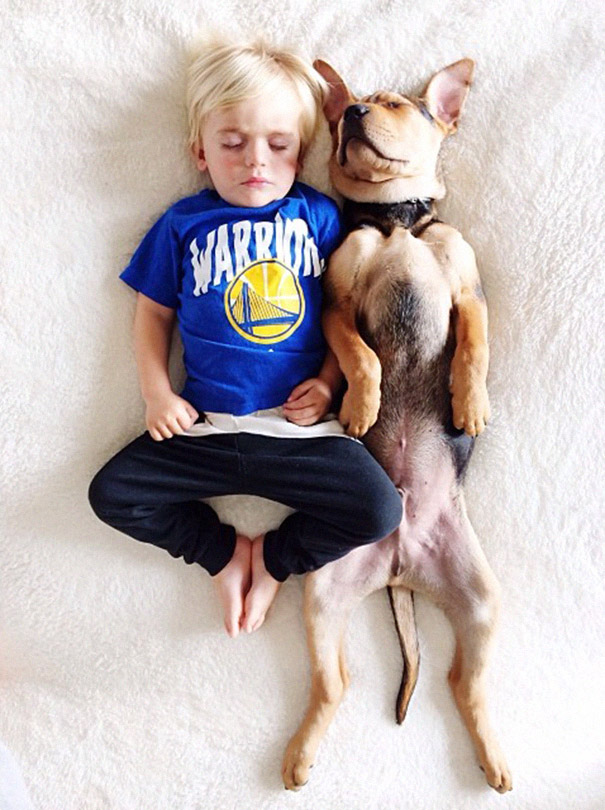 toddler-naps-with-puppy-theo-and-beau-2-11 toddler-naps-with-puppy-theo-and-beau-2-11