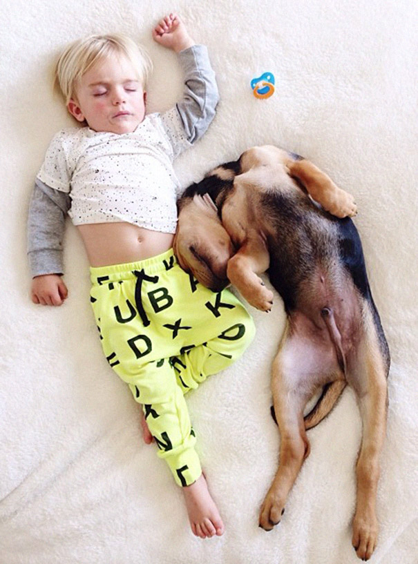 toddler-naps-with-puppy-theo-and-beau-2-12 toddler-naps-with-puppy-theo-and-beau-2-12