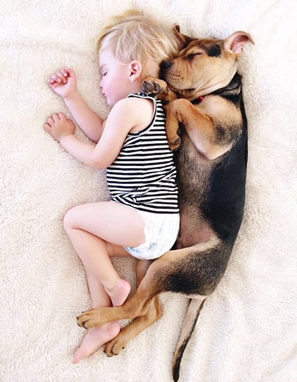toddler-naps-with-puppy-theo-and-beau-2-13 toddler-naps-with-puppy-theo-and-beau-2-13