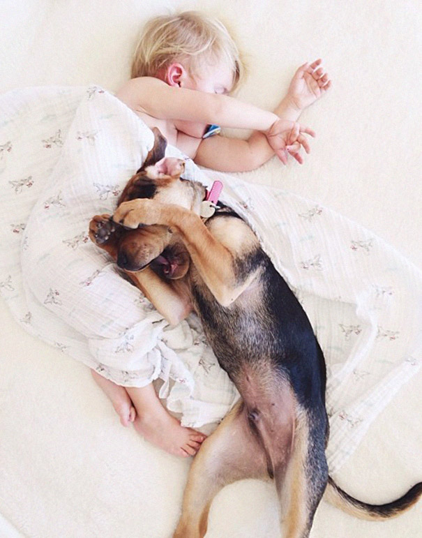 toddler-naps-with-puppy-theo-and-beau-2-14 toddler-naps-with-puppy-theo-and-beau-2-14