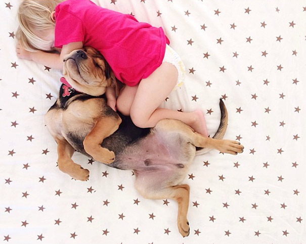 toddler-naps-with-puppy-theo-and-beau-2-15 toddler-naps-with-puppy-theo-and-beau-2-15