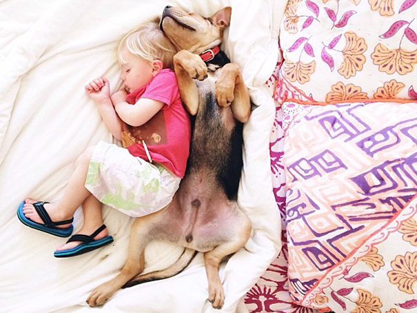 toddler-naps-with-puppy-theo-and-beau-2-16 toddler-naps-with-puppy-theo-and-beau-2-16