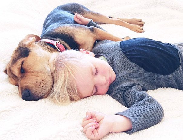 toddler-naps-with-puppy-theo-and-beau-2-17 toddler-naps-with-puppy-theo-and-beau-2-17
