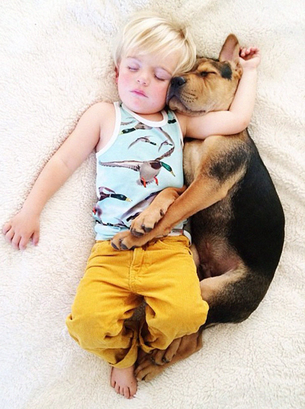 toddler-naps-with-puppy-theo-and-beau-2-18 toddler-naps-with-puppy-theo-and-beau-2-18