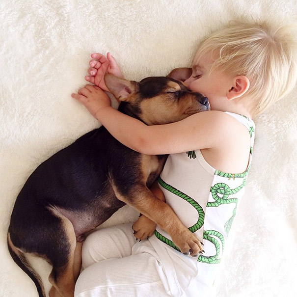 toddler-naps-with-puppy-theo-and-beau-2-19 toddler-naps-with-puppy-theo-and-beau-2-19