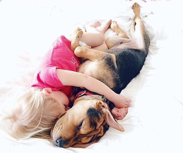 toddler-naps-with-puppy-theo-and-beau-2-2 toddler-naps-with-puppy-theo-and-beau-2-2