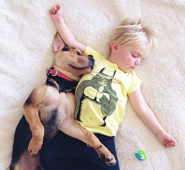 toddler-naps-with-puppy-theo-and-beau-2-3 toddler-naps-with-puppy-theo-and-beau-2-3