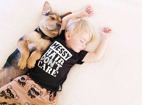 toddler-naps-with-puppy-theo-and-beau-2-4 toddler-naps-with-puppy-theo-and-beau-2-4