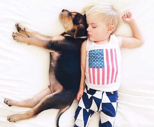 toddler-naps-with-puppy-theo-and-beau-2-5 toddler-naps-with-puppy-theo-and-beau-2-5
