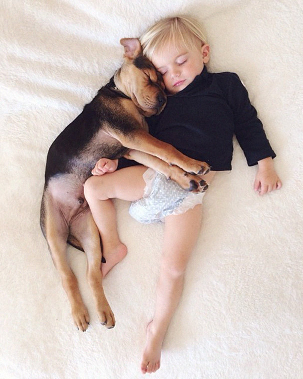 toddler-naps-with-puppy-theo-and-beau-2-7 toddler-naps-with-puppy-theo-and-beau-2-7