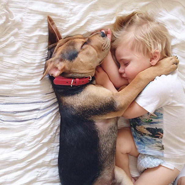toddler-naps-with-puppy-theo-and-beau-2-8 toddler-naps-with-puppy-theo-and-beau-2-8