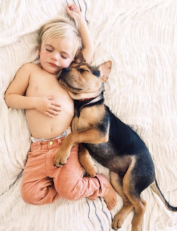 toddler-naps-with-puppy-theo-and-beau-2-9 toddler-naps-with-puppy-theo-and-beau-2-9