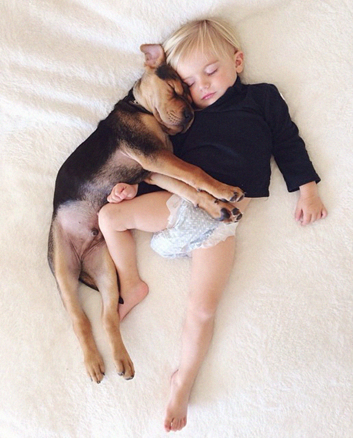 2 Months Later, This Toddler Is Still Napping With His Puppy