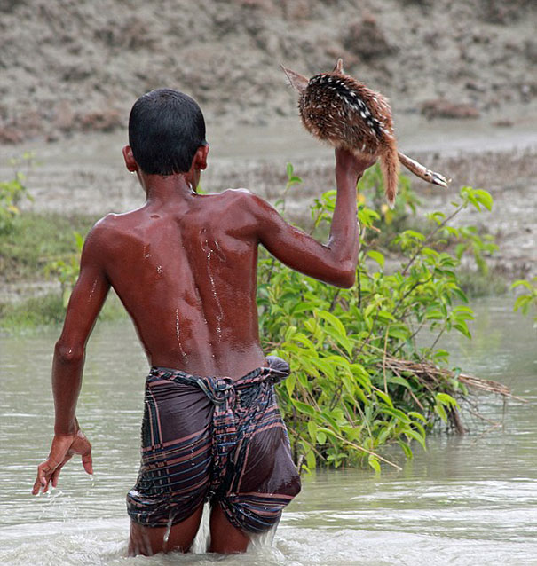 bangladeshi-boy-saves-drowning-baby-deer-8 bangladeshi-boy-saves-drowning-baby-deer-8