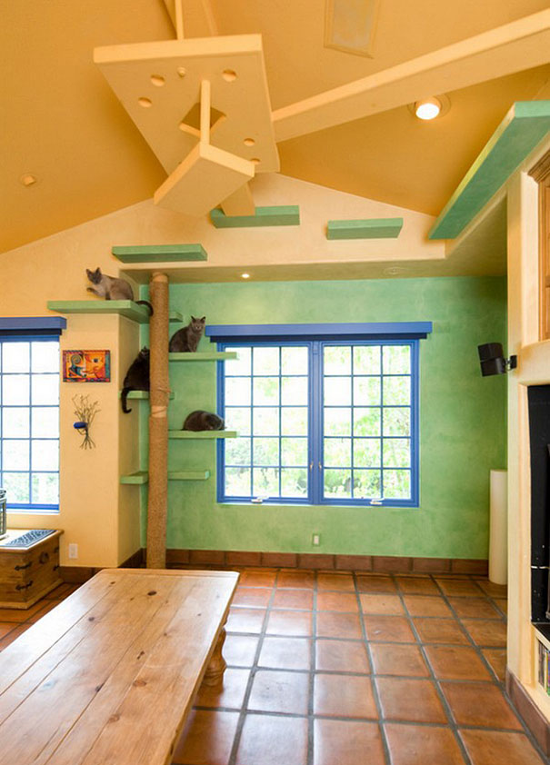 cat-paradise-home-trillium-enterprises-6 cat-paradise-home-trillium-enterprises-6