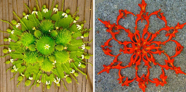 danmala-flower-mandala-kathy-klein-33 danmala-flower-mandala-kathy-klein-33