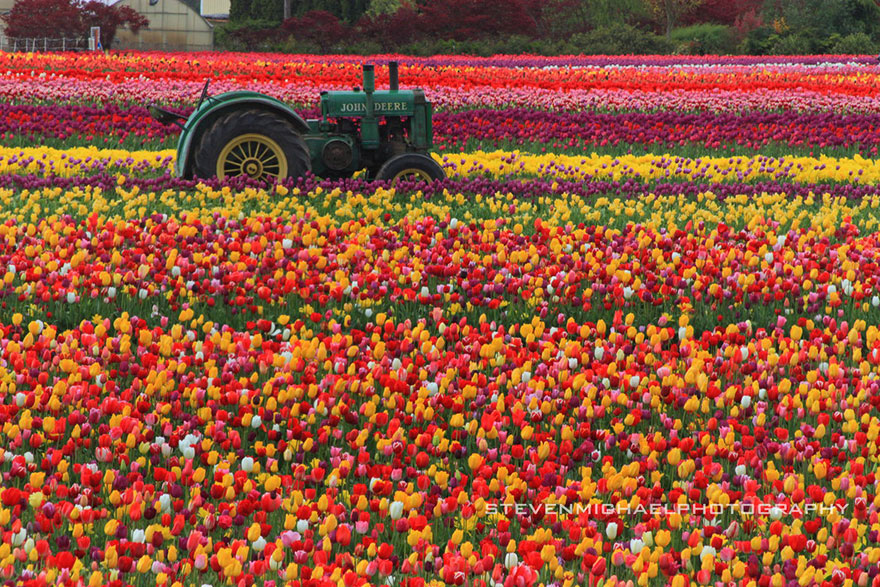 15 Incredibly Colorful Spring Flower Fields Around The World 15 Incredibly Colorful Spring Flower Fields Around The World