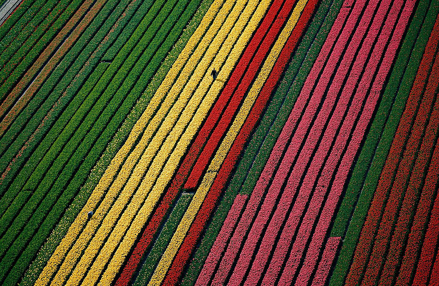 15 Incredibly Colorful Spring Flower Fields Around The World 15 Incredibly Colorful Spring Flower Fields Around The World