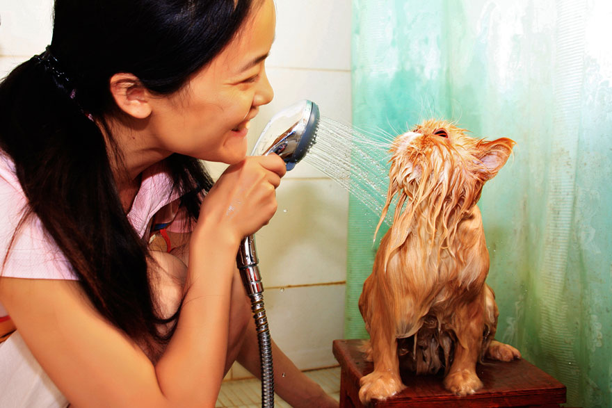 A woman showers a wet cat, both looking amused in a bathroom setting. A woman showers a wet cat, both looking amused in a bathroom setting.