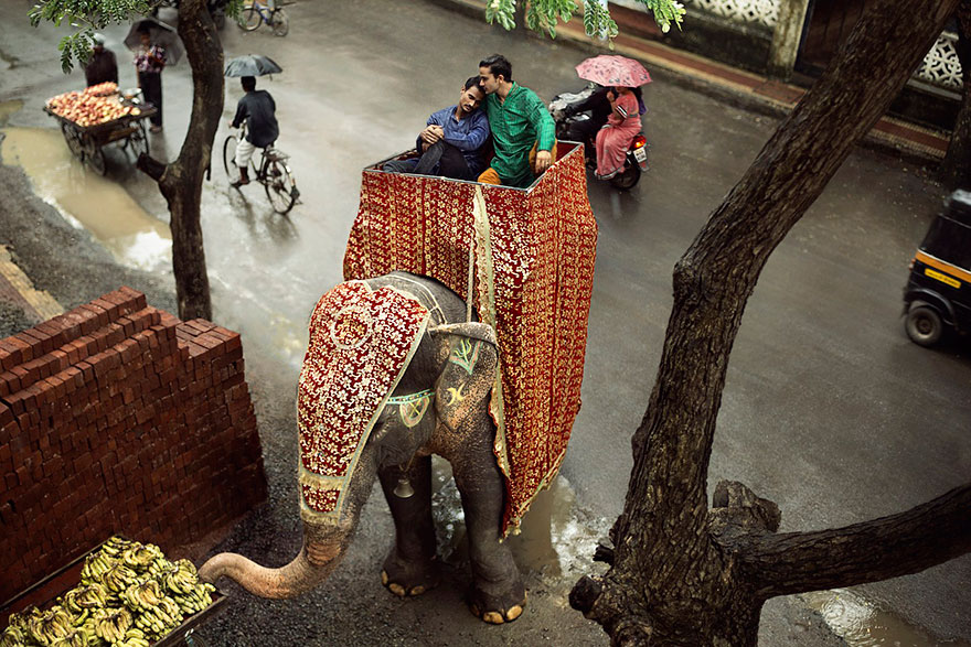 gay-couples-all-love-is-equal-braden-summers-11 gay-couples-all-love-is-equal-braden-summers-11