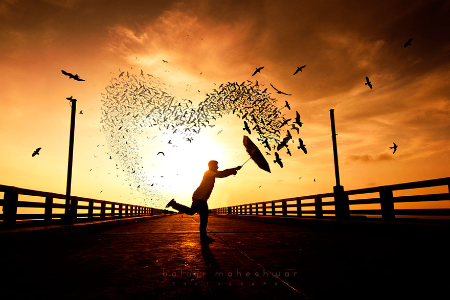 man holding an umbrella from which the birds are flying in the form of the heart man holding an umbrella from which the birds are flying in the form of the heart