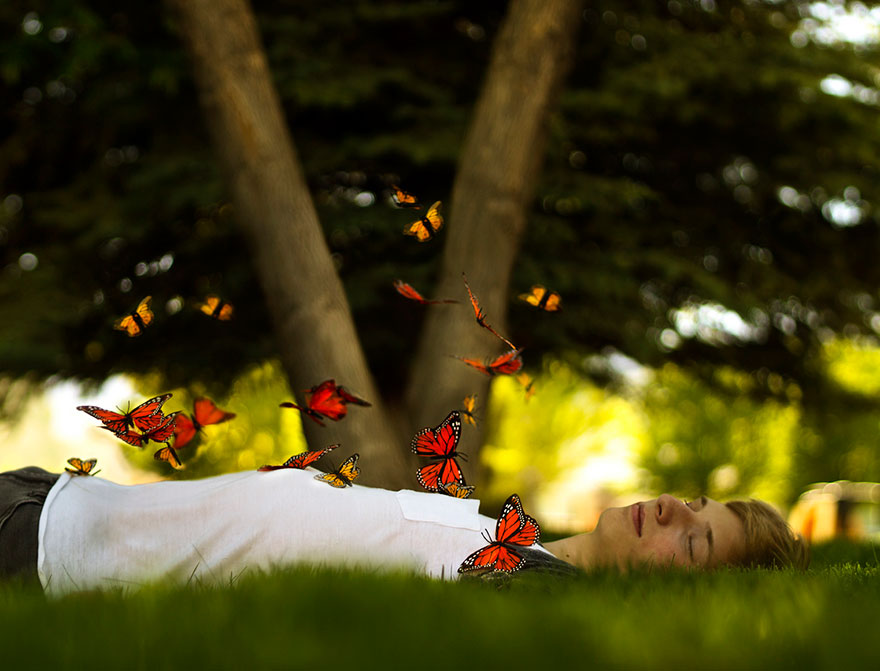 man lying on the ground and butterflies are flying near him man lying on the ground and butterflies are flying near him