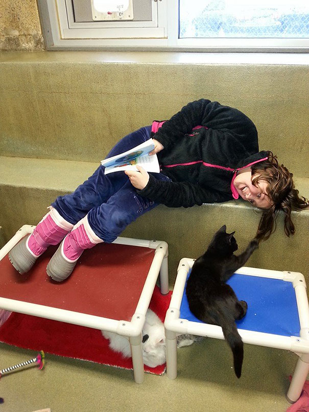 reading-children-shelter-cats-book-buddies-1 reading-children-shelter-cats-book-buddies-1