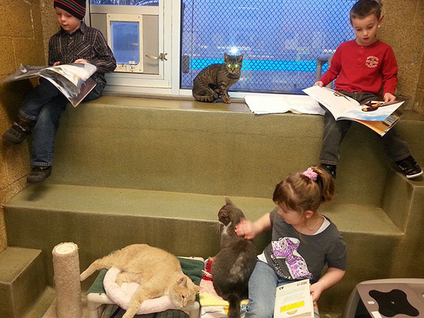 reading-children-shelter-cats-book-buddies-10 reading-children-shelter-cats-book-buddies-10