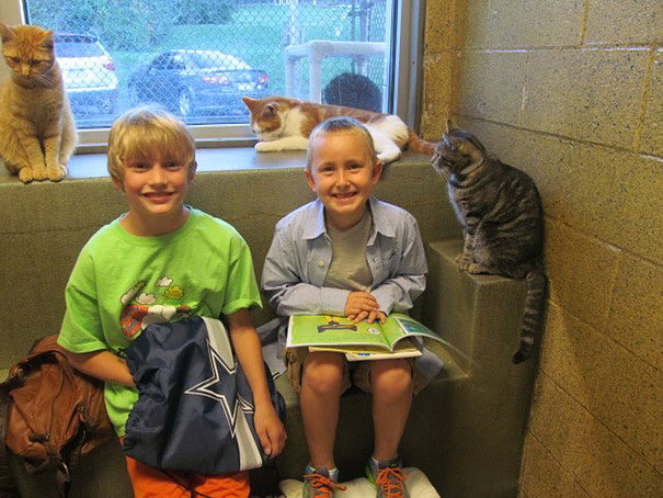 reading-children-shelter-cats-book-buddies-12 reading-children-shelter-cats-book-buddies-12
